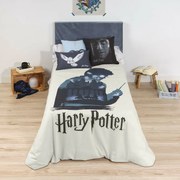 Покривало за одеяло Harry Potter 200 x 200 cm 120 легло