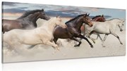 Картина на платно – Стадо коне