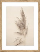 Картина 30x40 cm Grass – knor