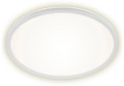 Briloner 7157-416 - LED Лампа SLIM LED/22W/230V Ø 42 см