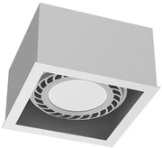 Brosline 1272 - Точково осветително тяло CAGE 1xGU10/18W/230V бяло