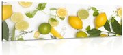 Картина на платно – Смес от цитрусови плодове