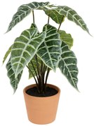Изкуствено растение atmosphera Soleya Alocasia, 43 cm