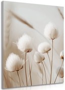 Картина на платно – Памучни стъбла