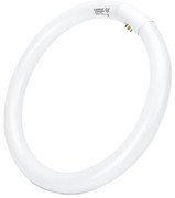 Флуоресцентна тръба T9 G10q/32W/230V 6500K - Aigostar