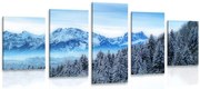 картини от 5 части – Замръзнали планини
