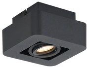 Заоблен повърхностно монтиран прожектор черен, въртящ се и накланящ се - Dox