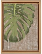 Картина 36x46 cm Monstera - Wallity