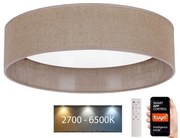 Brilagi - LED Димируем плафон VELVET SMART LED/36W/230V Wi-Fi Tuya + д.у.