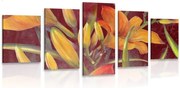 картини от 5 части – Пробуждане на оранжева лилия