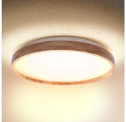 Brilagi - LED таванно осветително тяло ALSON LED/24W/230V дъб