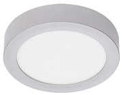 Briloner 7124-014 - LED Димируем плафон FIRE LED/12W/230V 3000K