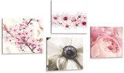 Комплект картини – Мекота на цветята