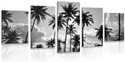 картини от 5 части – Кокосови палми на плажа в черно-бяло
