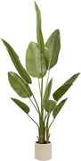 Изкуствено растение atmosphera Lora Banana, 200 cm