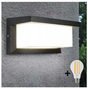 LED Екстериорен аплик NEELY 1xE27/9W/230V 4000K IP54 антрацит