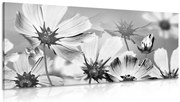 Картина на платно – Градински цветя в черно-бяло