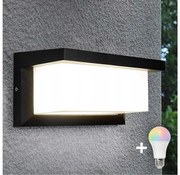 LED RGBW димируем външен стенен осветител NEELY 1xE27/9W/230V IP54 черен