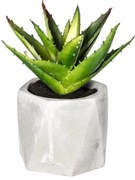 Изкуствено растение atmosphera Succulent, 14 cm, Различни видове