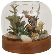 Изкуствено растение atmosphera Wonj Terrarium, 14 cm