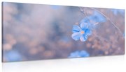 Картина на платно – Сини цветя на винтидж фон