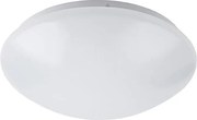 Rabalux 3434 - LED таванно осветително тяло LUCAS LED/12W/230V