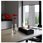 BIO камина INDIA/MAX 10x67 см, 3kW, черна серия TUV