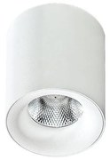 Azzardo AZ2845 - LED Лампа за таван MANE 1xLED/10W/230V