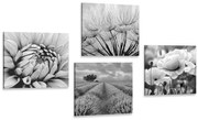 Комплект картини – Черно-бяла елегантност