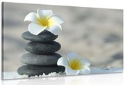 Картина на платно – Хармонични камъни и цвете плумерия
