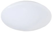 Бяла LED светлина за таван II, диаметър 27 cm Reality Putz