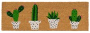 Изтривалка от кокосови влакна 25x75 cm Cactus – Casa Selección