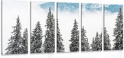 картини от 5 части – Заснежени борови дървета