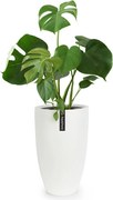 Fox & Fern Саксия Almere Fibre Stone, идеална за растения, ръчно изработена, конусовидна