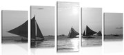 картини от 5 части – Прекрасен залез на морето в черно-бяло
