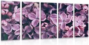 картини от 5 части – Лилави цветя на люляк