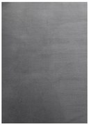 Сив килим подходящ за пране 60x110 cm Sky – Ayyildiz Carpets