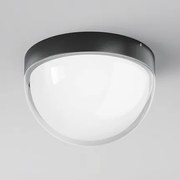 MAYTONI Плафон Мон - O438CL-L12GF3K