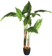 Изкуствено растение atmosphera Banana Tree, 120 cm