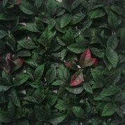 Зелена декорация за стена А002 панел 50смх50см