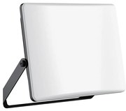 LED прожектор 100W 230V 3000/4000/6500K IP65 черен