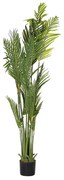 Декоративно Растение DKD Home Decor Палми Зелен PE (50 x 50 x 180 cm)