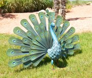 Градинска фигура - Паун