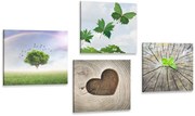 Комплект картини – Уникален кът от природата