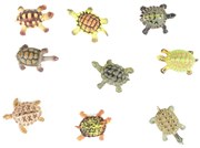 Rappa - Комплект фигурки Костенурки - 9 броя, 4-5 см.