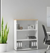 Библиотека Glasstic-Leuko - Mpez