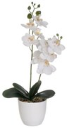 Изкуствено цвете (височина 39 cm) Orchid – Casa Selección
