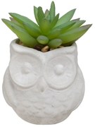 Изкуствено растение atmosphera Succulent, 8 cm, Различни видове