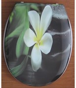 Тоалетна седалка ICST 787