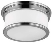 Feiss FE-PAYNE-F-BATH -Таванно осветително тяло за баня PAYNE 2xE27/60W/230V IP44